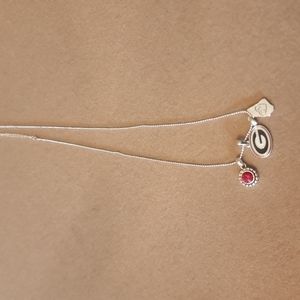 Georgia Bull dogs necklace